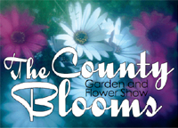 The County Blooms Show